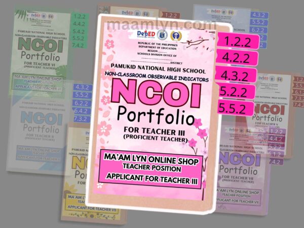 RECLASSIFICATION FILES /NCOI PORTFOLIO - Image 2