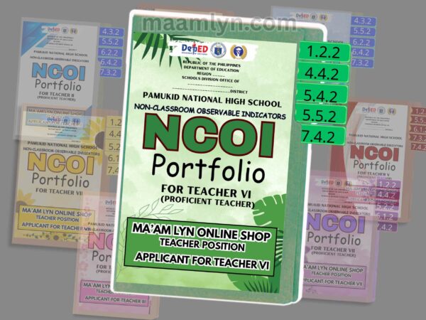 RECLASSIFICATION FILES /NCOI PORTFOLIO - Image 5