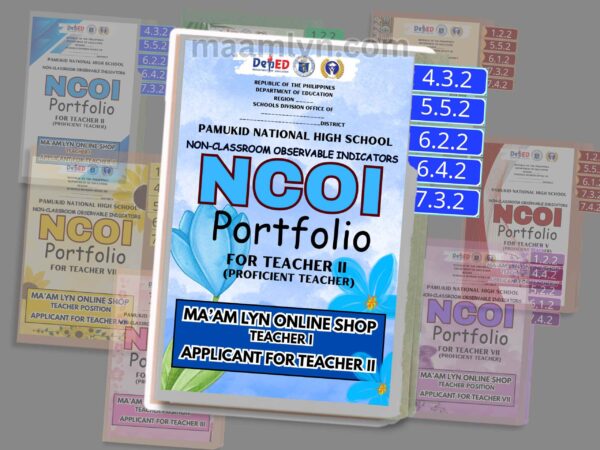 RECLASSIFICATION FILES /NCOI PORTFOLIO - Image 7