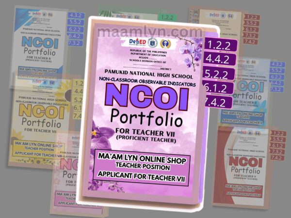 RECLASSIFICATION FILES /NCOI PORTFOLIO - Image 9